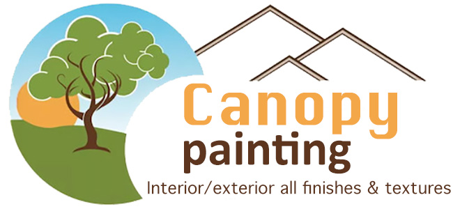 canopypainting.com